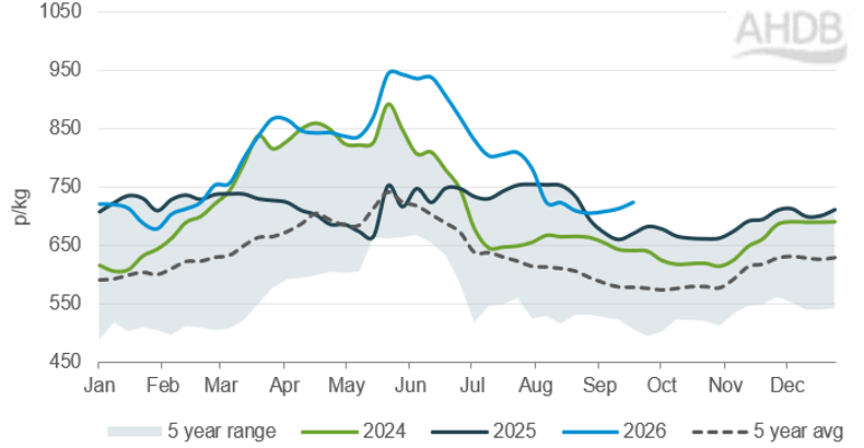 Lamb price reached record highs in May/june of this year, dropped for short time before ticking up.